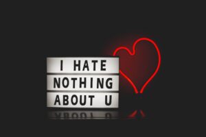 A sign that reads "I hate nothing about you" for Valentines day because its February